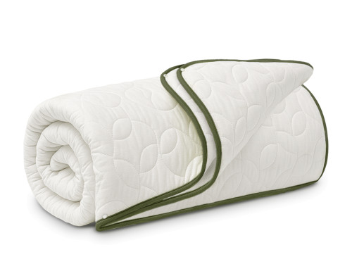 Jorgan Dyshtresor Olive Oil